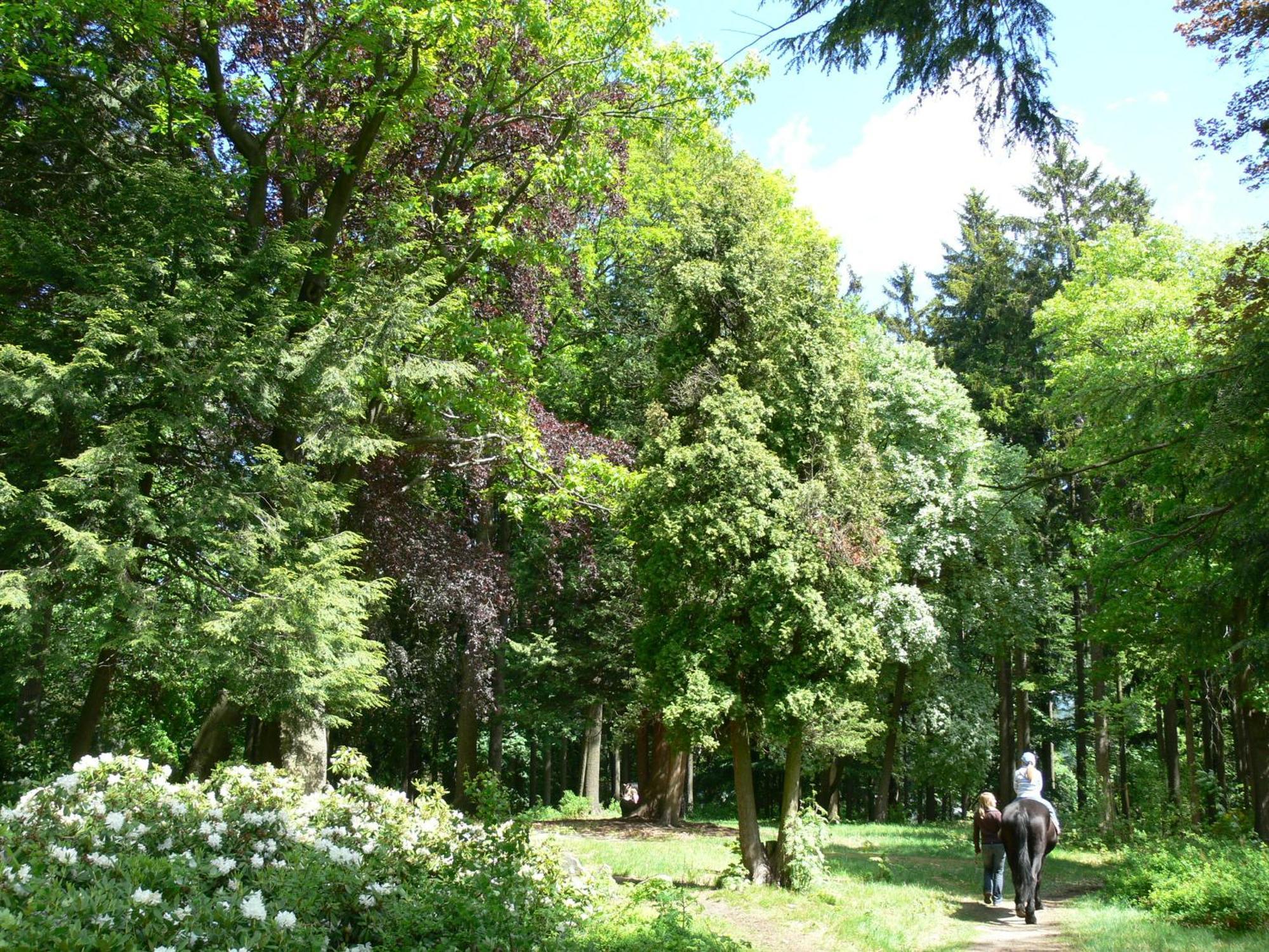 Parkhotel Smrzovka Smržovka Exterior foto